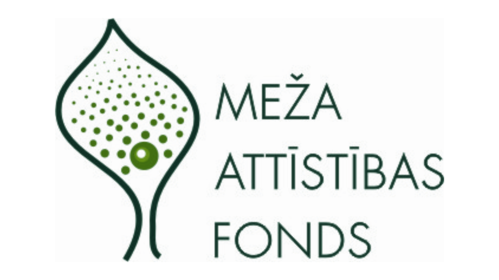 Digitāla, interaktīva izglītojoša spēle koksnes īpašību izzināšanai STEM mācību priekšmetu ietvaros pamatskolas pēdējo klašu skolēniem