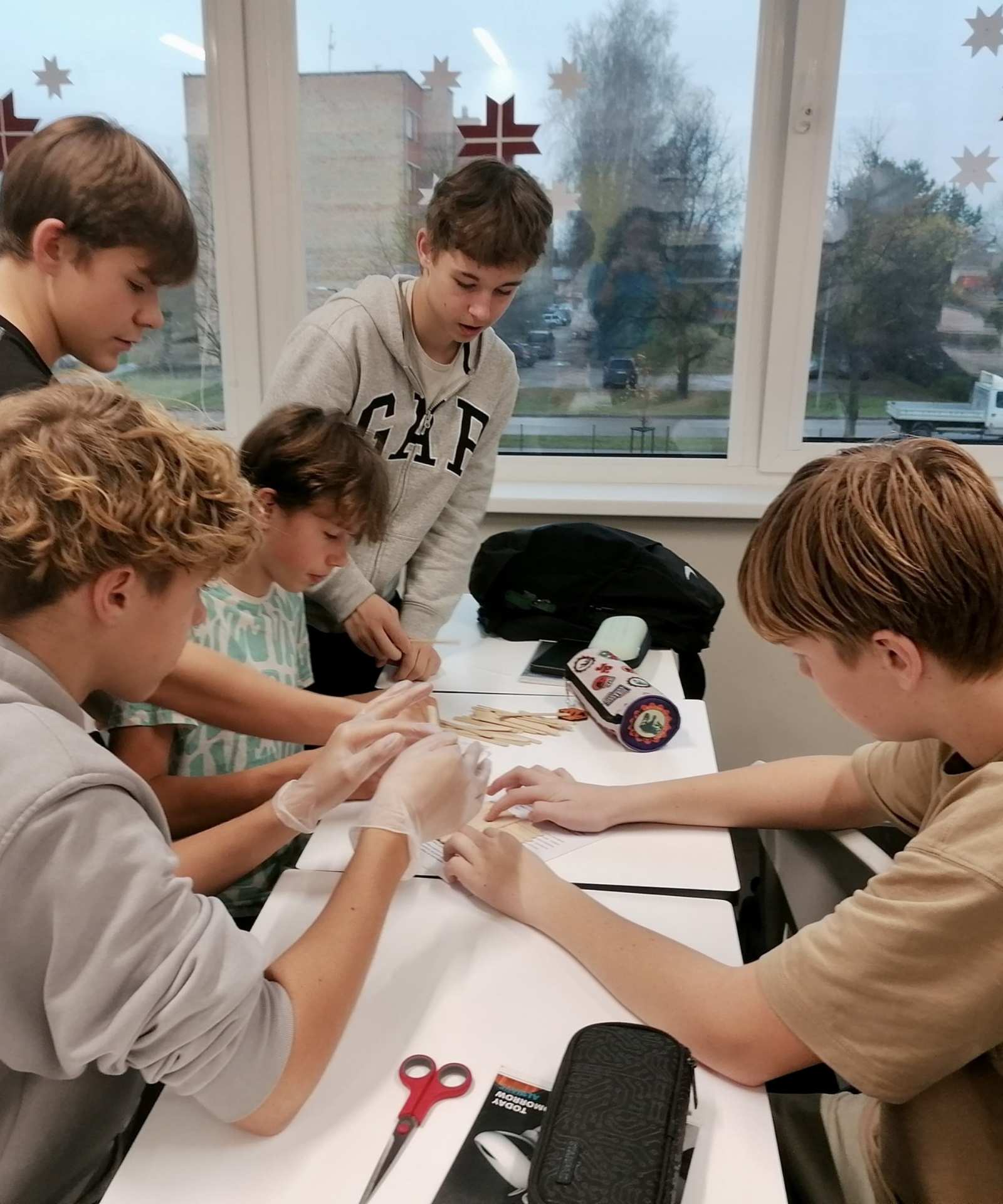 lietkoku čemodāns asociācija latvijas koks