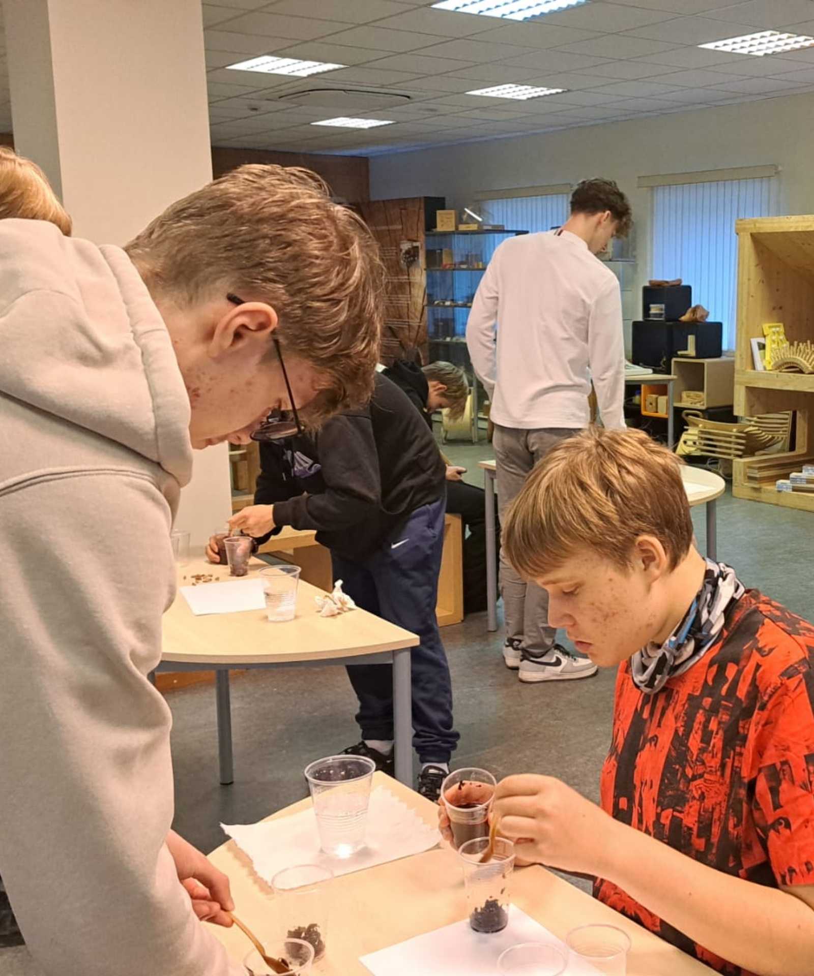 lietkoku čemodāns asociācija latvijas koks