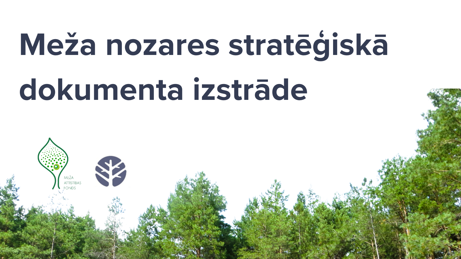 Atbalsts meža nozares stratēģiskā dokumenta izstrādei 2025