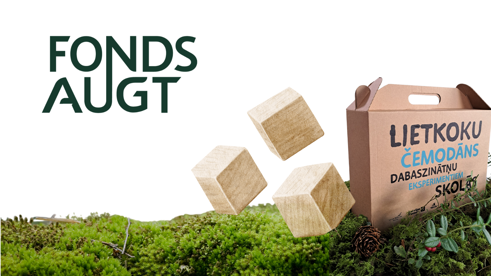 Lietkoku čemodāns dabaszinātņu eksperimentiem skolās 2025